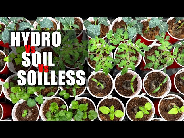 hydro vs soil vs soilless