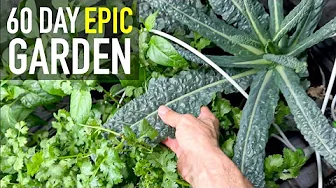 epic garden