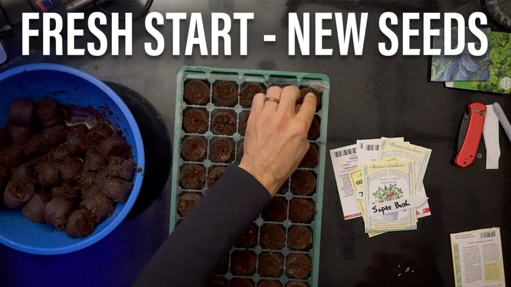 Starting fresh seeds for a fall home garden