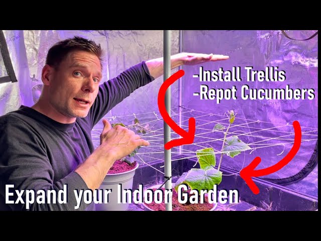 Expand your indoor garden