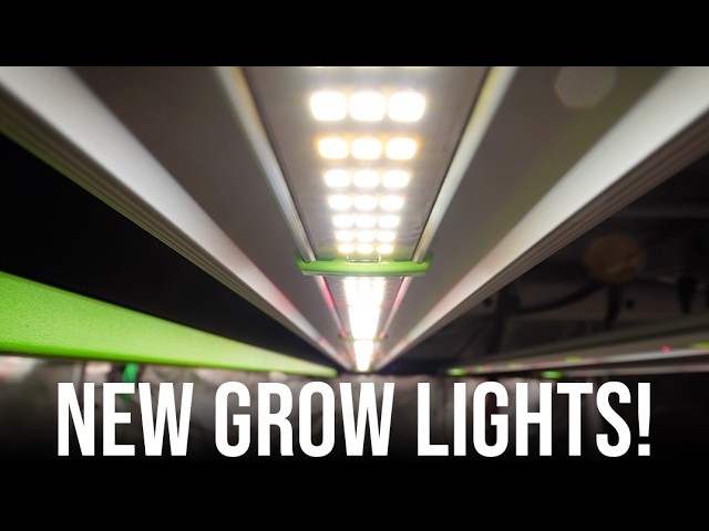 You Need A Better Grow Light