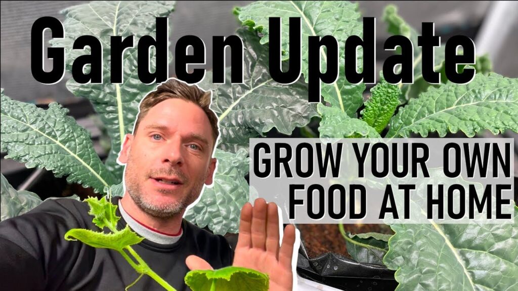 grow your own food